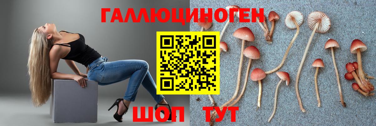 Псилоцибиновые грибы MAGIC MUSHROOMS Кинешма